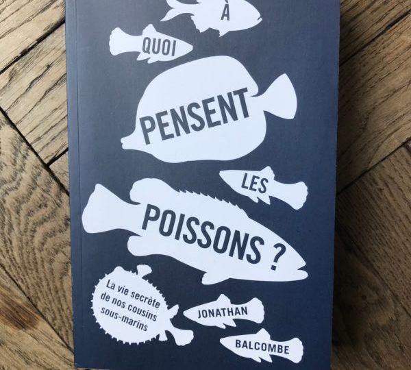 À quoi pensent les poissons ? de Jonathan Balcombe